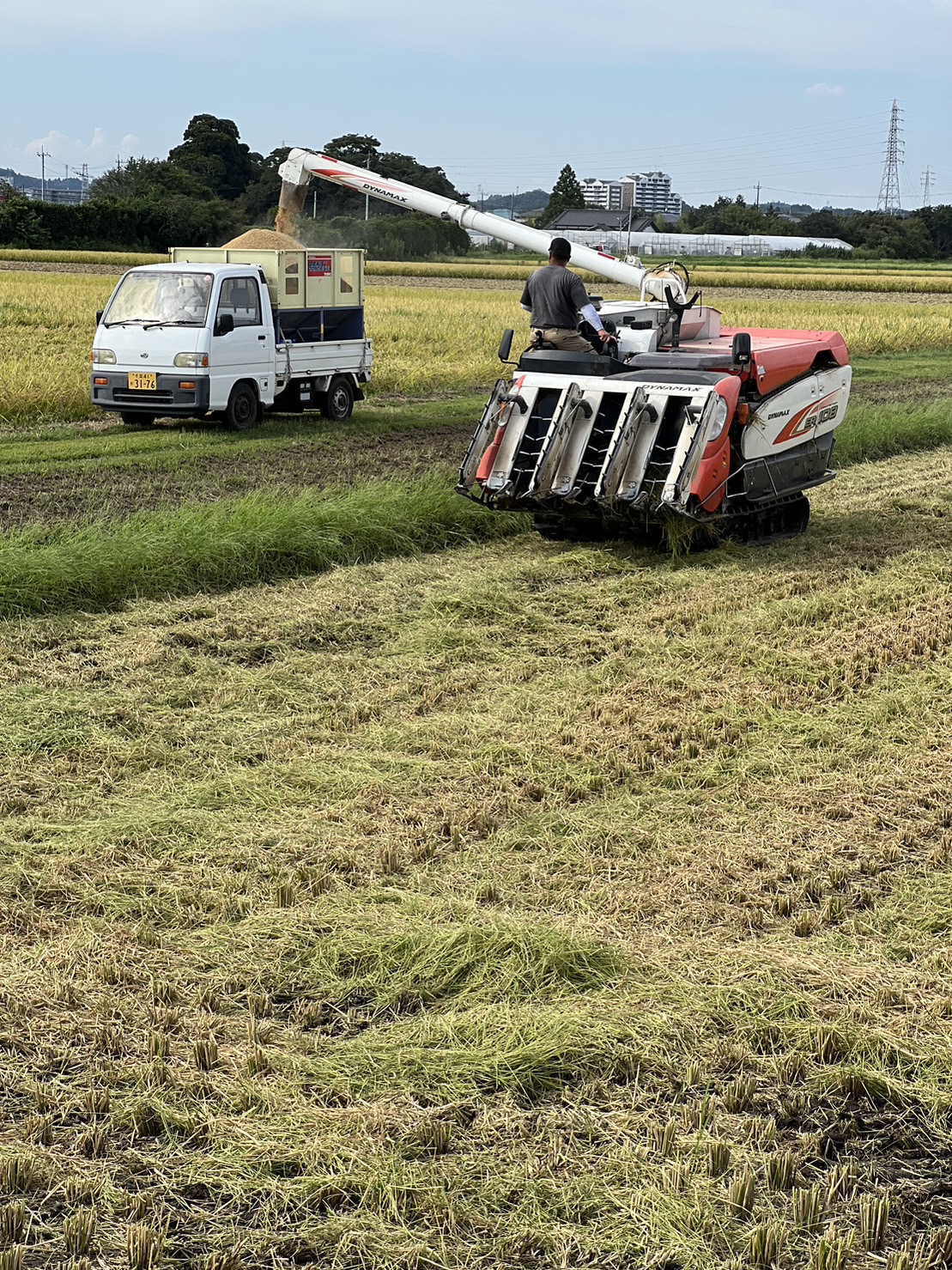 470489901595623794 (3)