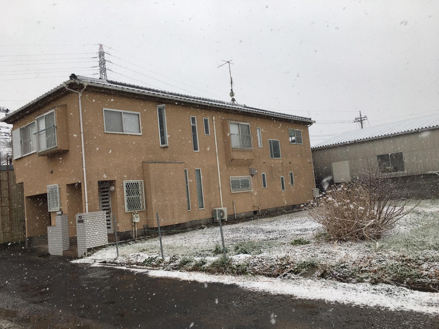 初雪